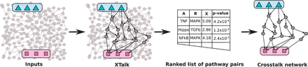 Workflow for Xtalk. Xtalk takes as input a signaling network, a set of receptors in pathway A and a set of TFs from pathway B. Xtalk enumerates k paths from the receptors to each TF, calculates a crosstalk statistic χ(A,B) and computes a P value representing the significance of crosstalk from pathway A to pathway B. Xtalk also returns a crosstalk network representing the set of interactions responsible for the identified crosstalk. Triangles: receptors in pathway A; rectangles: TFs in pathway B